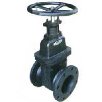 Ci Valves