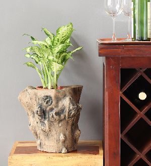 Woodlike Planters