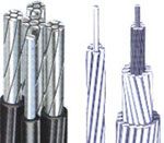 All Aluminum Alloy Conductor (AAAC)