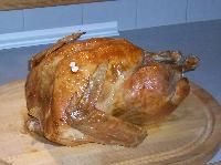 Turkey meat