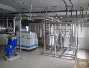 Milk Dairy Plants