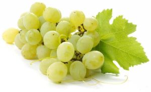 Fresh Grapes