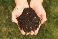 natural organic fertilizer