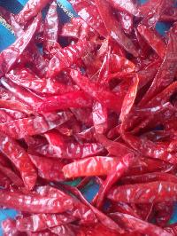 Dried Red Chilli