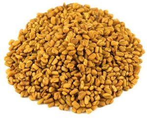 Fenugreek Seeds