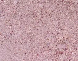 Dehydrated Red Onion Granules