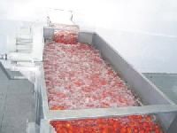 tomato washing machine