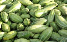 Fresh Pointed Gourd