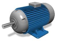 Industrial Electric Motors