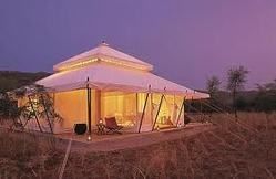 Resort Tent