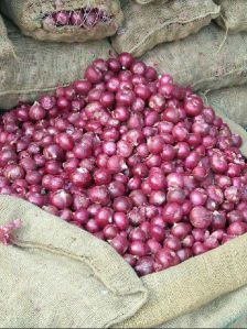 Red Onion