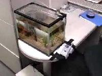 fish feeding machine