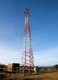 Industrial Cows Tubular Tower