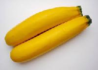 Yellow Zucchini