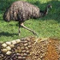 emu bird feed