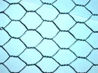 Hexagonal Wire Mesh