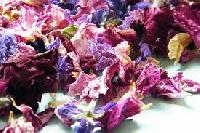 dried flowers petal