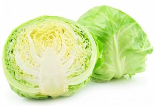 Fresh Cabbage