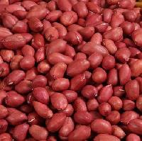 Groundnut Kernels