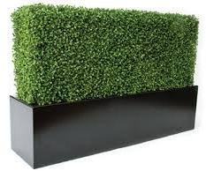 Boxwood Grass Wall