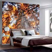 Imported Wallpaper Wall Coverings