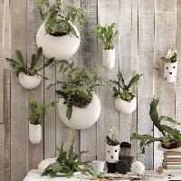 wall pots