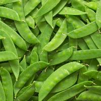 Fresh Snow Peas