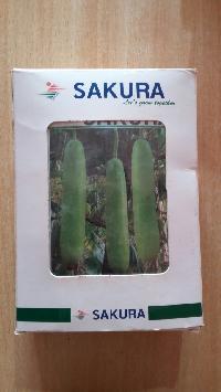 Bottle Gourd Seeds