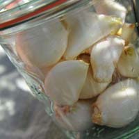 Frozen garlic