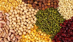 Indian Pulses