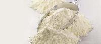 Skim Milk Powder