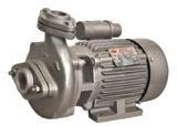 Cast-Iron Centrifugal Pump