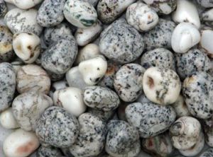 Zebra Polished Pebbles Stones