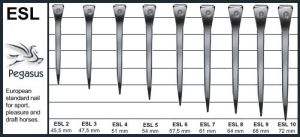 Horseshoe Nails E- Slim