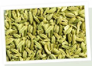 Fennel Seeds