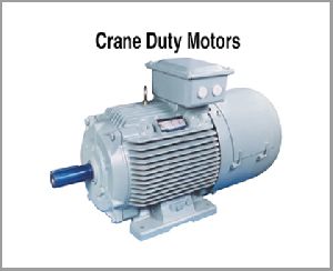 crane duty motors