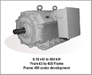 Industrial Motors