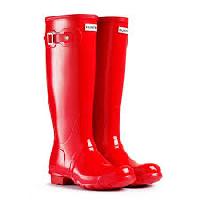 wellington boot