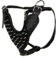 spiked dog harness