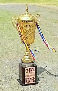 Metal Award Cup