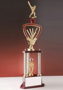 Sports Trophy