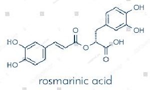 Rosmarinic Acid