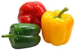 Fresh Capsicum