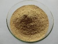 Bacopa Monnieri Extract