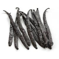 Vanilla Beans