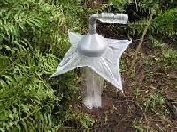 insect trap