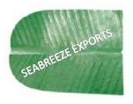 Artificial Banana Leaf