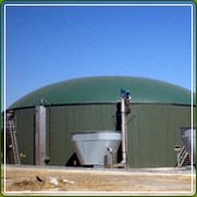 Biogas Plants