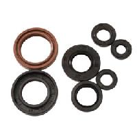 Oil seal kit