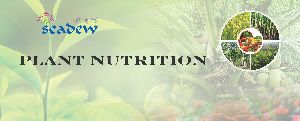 Seadew Plant Nutritions